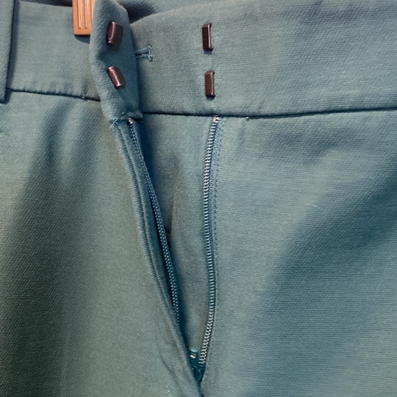 Beautiful Ankle Pant NWOT - Picture 5 of 7